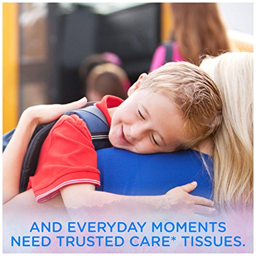 Kleenex Trusted Care 2 Box